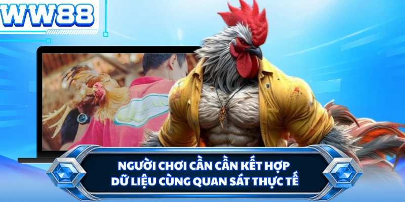 Người chơi cần cần kết hợp dữ liệu cùng quan sát thực tế